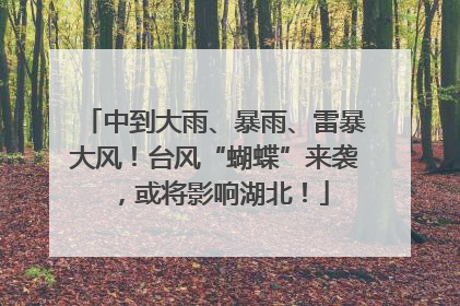 中到大雨、暴雨、雷暴大风！台风“蝴蝶”来袭，或将影响湖北！