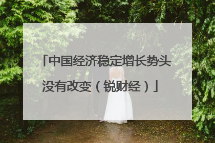 中国经济稳定增长势头没有改变（锐财经）