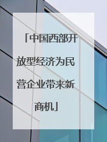 中国西部开放型经济为民营企业带来新商机