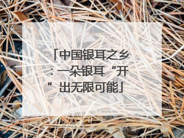 中国银耳之乡：一朵银耳“开”出无限可能