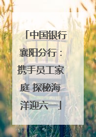 中国银行襄阳分行：携手员工家庭 探秘海洋迎六一