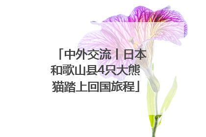 中外交流丨日本和歌山县4只大熊猫踏上回国旅程