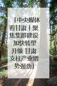 中央媒体看甘肃丨聚焦集群建设 加快转型升级 甘肃支柱产业增势强劲