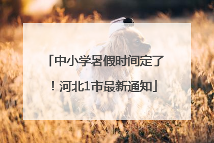 中小学暑假时间定了！河北1市最新通知