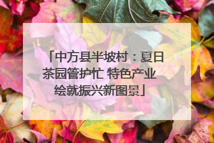 中方县半坡村：夏日茶园管护忙 特色产业绘就振兴新图景
