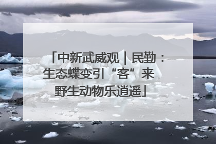 中新武威观｜民勤：生态蝶变引“客”来 野生动物乐逍遥