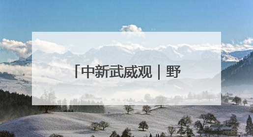 中新武威观｜野生动物频繁“打卡”民勤沙漠