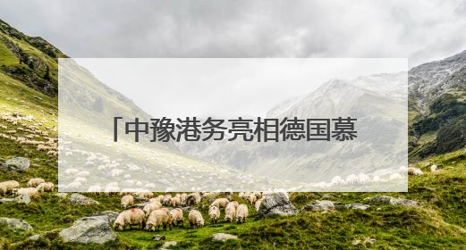 中豫港务亮相德国慕尼黑 中欧班列（郑州）深耕欧亚市场