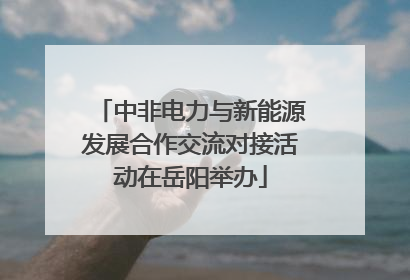 中非电力与新能源发展合作交流对接活动在岳阳举办