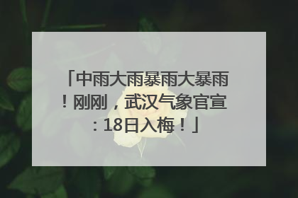 中雨大雨暴雨大暴雨！刚刚，武汉气象官宣：18日入梅！