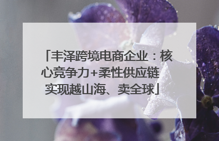 丰泽跨境电商企业：核心竞争力+柔性供应链 实现越山海、卖全球