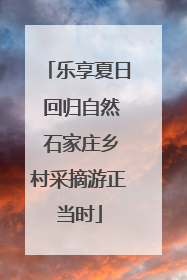 乐享夏日 回归自然 石家庄乡村采摘游正当时