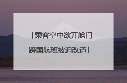 乘客空中欲开舱门 跨国航班被迫改道