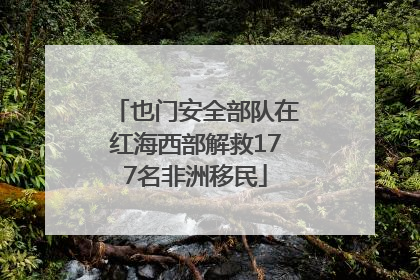 也门安全部队在红海西部解救177名非洲移民