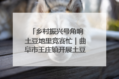 乡村振兴号角响 土豆地里竞赛忙｜曲阜市王庄镇开展土豆收获劳动竞赛