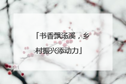 书香飘汤溪，乡村振兴添动力