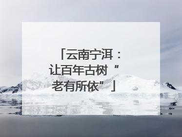 云南宁洱：让百年古树“老有所依”