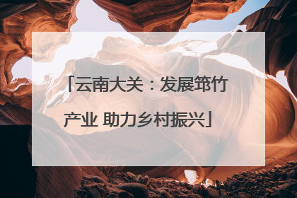 云南大关：发展筇竹产业 助力乡村振兴