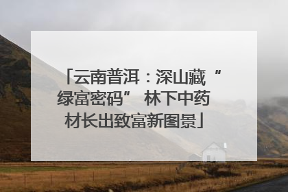 云南普洱：深山藏“绿富密码” 林下中药材长出致富新图景