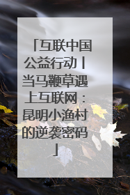 互联中国公益行动丨当马鞭草遇上互联网：昆明小渔村的逆袭密码