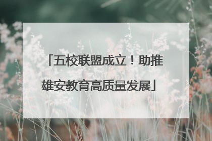 五校联盟成立！助推雄安教育高质量发展