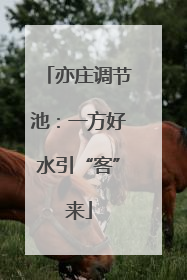 亦庄调节池：一方好水引“客”来