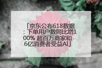 京东公布618数据：下单用户数同比增100% 超百万商家和6亿消费者受益AI
