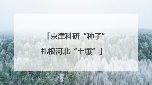 京津科研“种子”扎根河北“土壤”