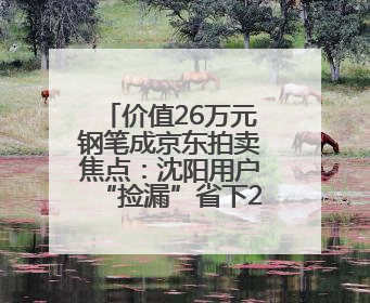 价值26万元钢笔成京东拍卖焦点：沈阳用户“捡漏”省下22.5万元
