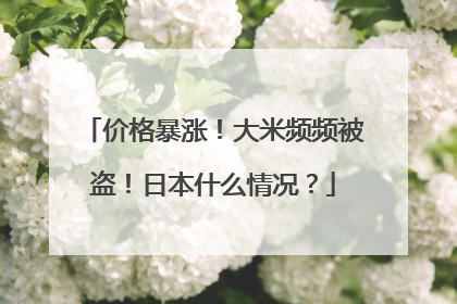 价格暴涨！大米频频被盗！日本什么情况？