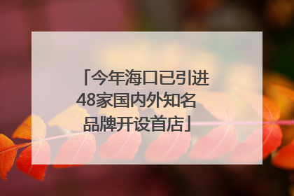 今年海口已引进48家国内外知名品牌开设首店