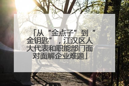 从“金点子”到“金钥匙”，江汉区人大代表和职能部门面对面解企业难题