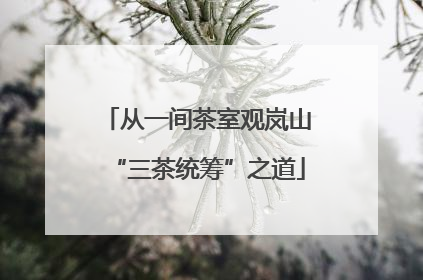 从一间茶室观岚山“三茶统筹”之道
