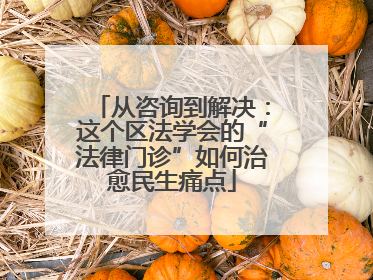 从咨询到解决：这个区法学会的“法律门诊”如何治愈民生痛点