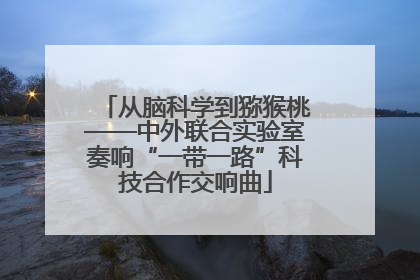 从脑科学到猕猴桃——中外联合实验室奏响“一带一路”科技合作交响曲