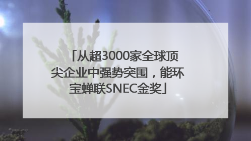 从超3000家全球顶尖企业中强势突围，能环宝蝉联SNEC金奖