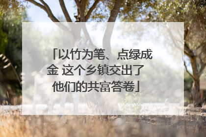 以竹为笔、点绿成金 这个乡镇交出了他们的共富答卷