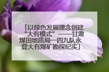 以绿色发展理念创建“大有模式”——甘肃煤田地质局一四九队永登大有煤矿勘探纪实