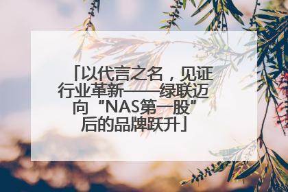 以代言之名，见证行业革新——绿联迈向“NAS第一股”后的品牌跃升