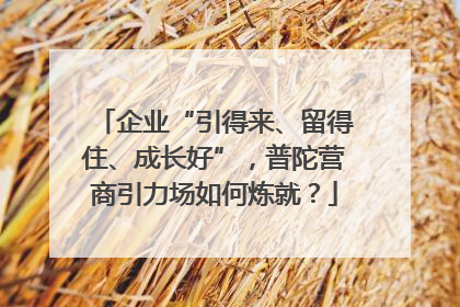 企业“引得来、留得住、成长好”，普陀营商引力场如何炼就？