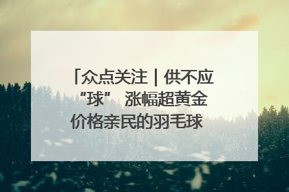众点关注｜供不应“球” 涨幅超黄金 价格亲民的羽毛球为何身价飞涨？