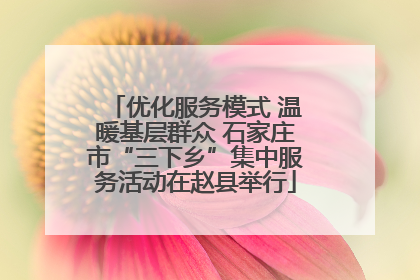 优化服务模式 温暖基层群众 石家庄市“三下乡”集中服务活动在赵县举行
