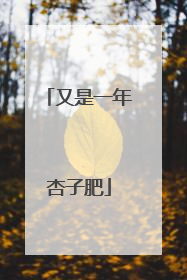 又是一年杏子肥