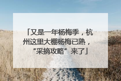 又是一年杨梅季，杭州这里大棚杨梅已熟，“采摘攻略”来了