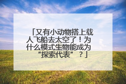 又有小动物搭上载人飞船去太空了！为什么模式生物能成为“探索代表”？