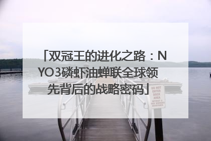 双冠王的进化之路：NYO3磷虾油蝉联全球领先背后的战略密码