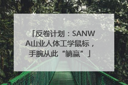 反卷计划：SANWA山业人体工学鼠标，手腕从此“躺赢”