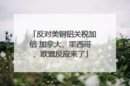 反对美钢铝关税加倍 加拿大、墨西哥、欧盟反应来了
