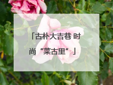 古朴大吉巷 时尚“菜古里”