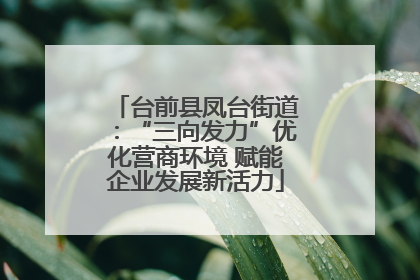 台前县凤台街道：“三向发力”优化营商环境 赋能企业发展新活力